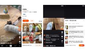 探索商机,创业赚钱小项目实践与启示 探索商机,创业赚钱小项目实践与启示